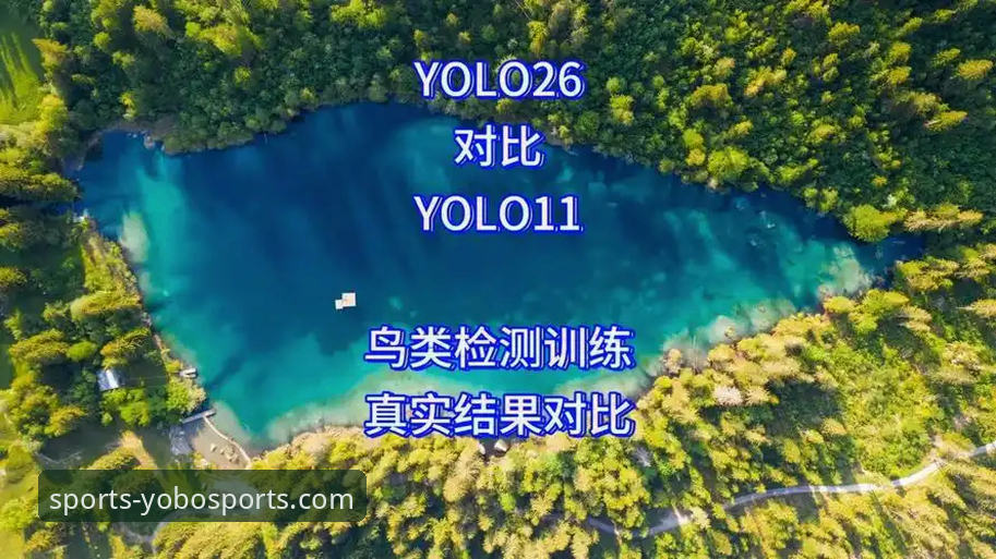 yobo体育官网最新版下载怎么样 yobo体育官网最新版下载 vs 旧版本:深度解析核心差异与真实体验